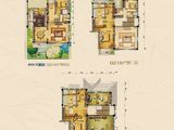 碧桂园活力城_9室3厅6卫 建面513平米