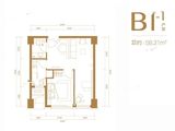 永清融创城_公寓B1户型 建面58平米