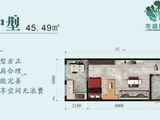 龙盛雅园_1室1厅1卫 建面45平米