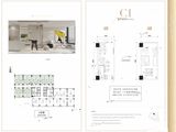 源上湾映江南_C1Loft 建面41平米