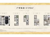 理和园_5室2厅5卫 建面210平米